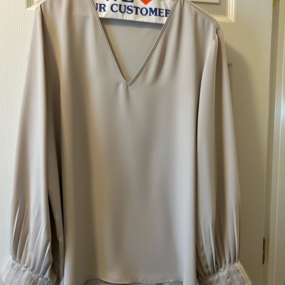 Ann Taylor Platinum V Neck Blouse